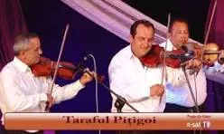 Concert de muzici tradiţionale, la Muzeul Naţional al Ţăranului Român