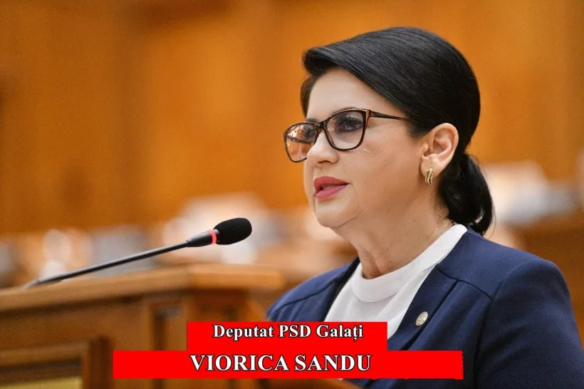 Deputatul Viorica Sandu, despre E-factura și calvarul utilizatorilor: „Ministerul Finanțelor era dator să prezinte un ghid al erorilor și modul în care pot fi ele rezolvate”