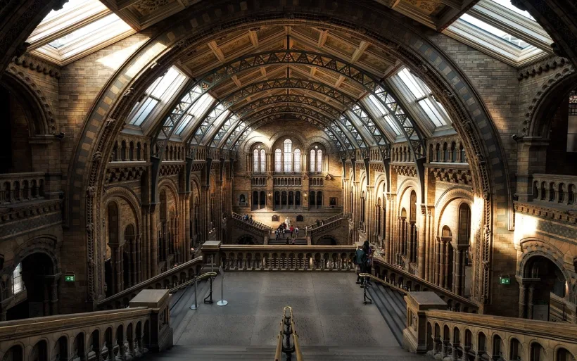 Obiecte recuperate în urma furtului de la British Museum din Londra vor face obiectul unei expoziţii