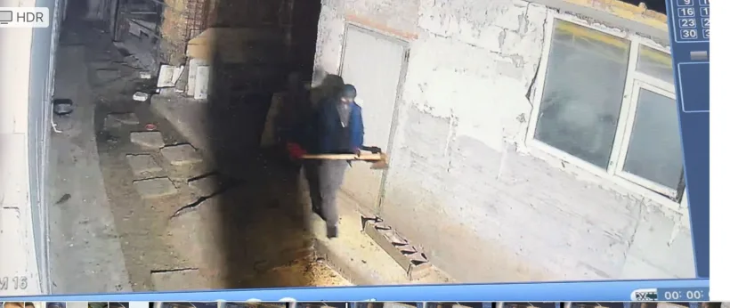 Hoți de animale căutați de Poliție: au rănit cu un topor un câine ciobănesc