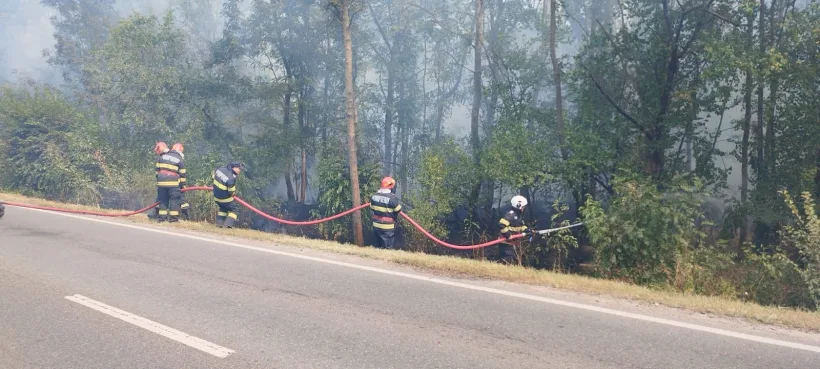 Pompierii, în alertă: arde pădurea de la Lacu Sărat