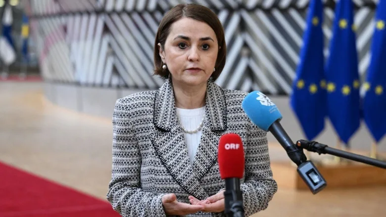 Luminița Odobescu este noul consilier al președintelui interimar Ilie Bolojan