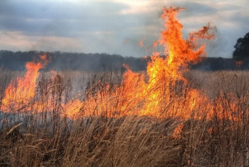 Incendii provocate cu intenție în județul Galați