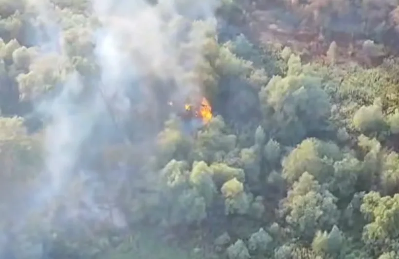 Dezastru într-o pădure din Delta Dunării: un incediu a izbucnit, iar pompierii intervin de cinci zile