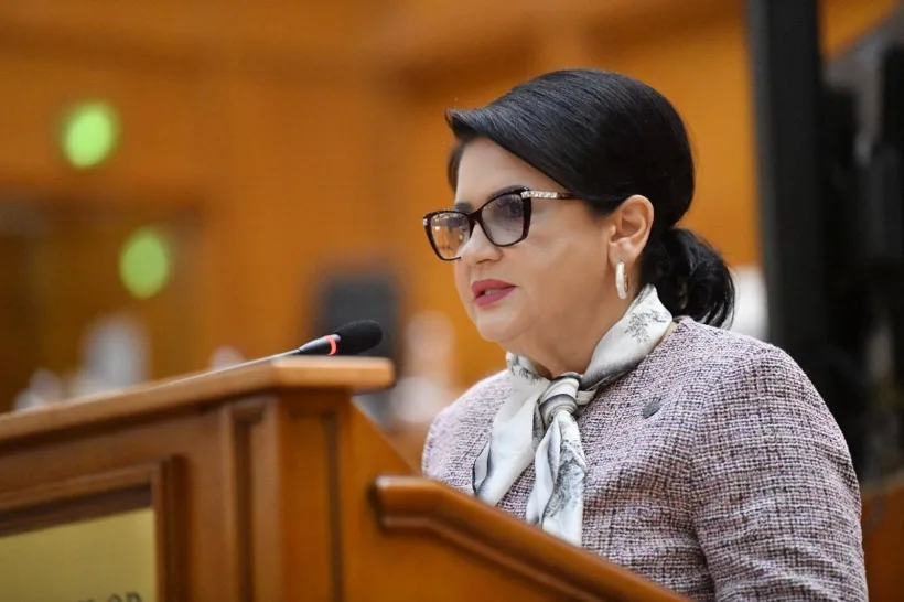 Deputatul Viorica Sandu: Viitorul economiei românești este digital și orientat spre inovație