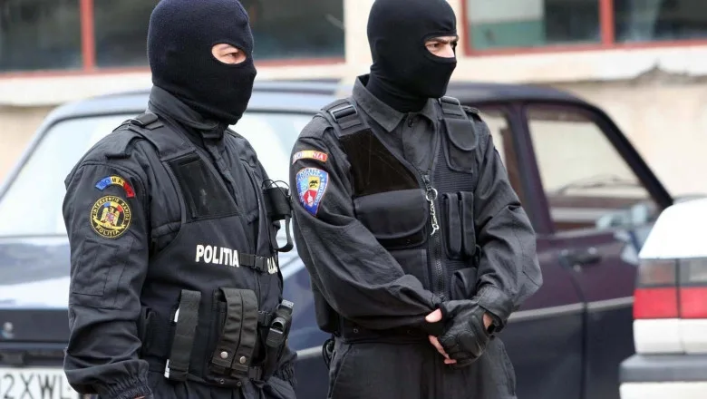 Val de percheziții la nivel național: vizate zeci de persoane în anchete de evaziune și tăieri ilegale de păduri