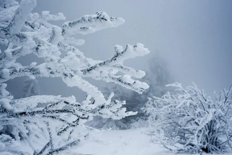 Val de aer polar peste România: temperaturile scad accentuat, iar ninsorile se extind