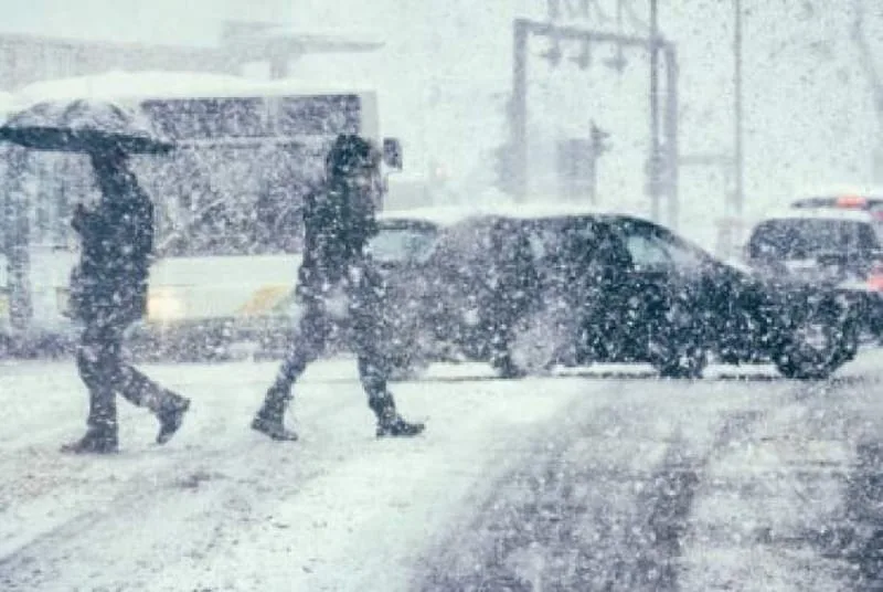 Ianuarie şi februarie, mai primăvăratice decât de obicei. Ce arată datele ANM