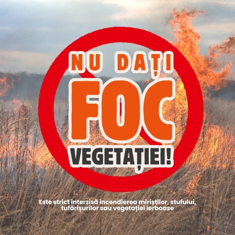 Amenzi de până la 100.000 de lei și chiar închisoare, pentru incendierea vegetației