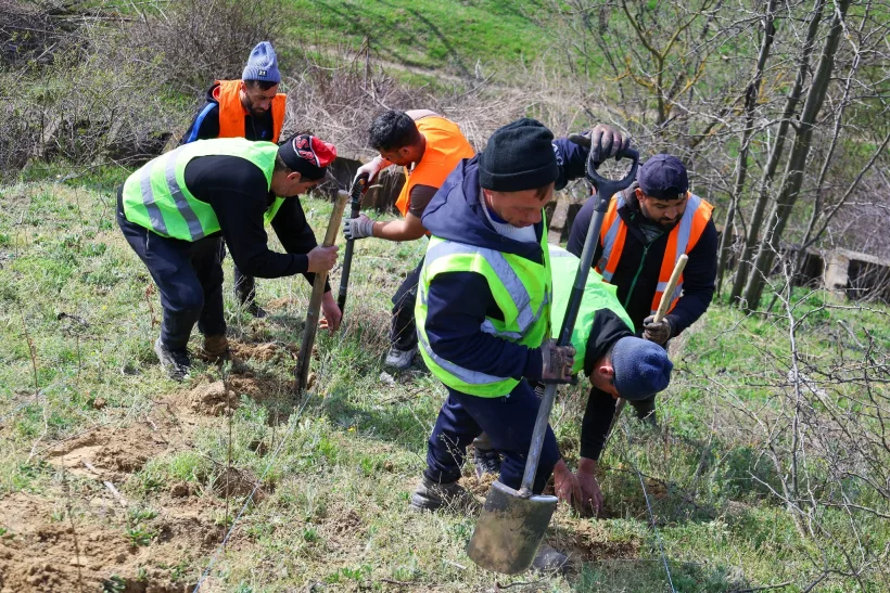 Proiect verde la Galați. Păduri urbane lângă școli și la marginea orașului