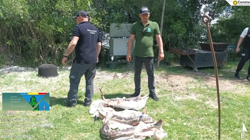 Controale ale Gărzii de Mediu în Rezervația Biosferei Deltei Dunării