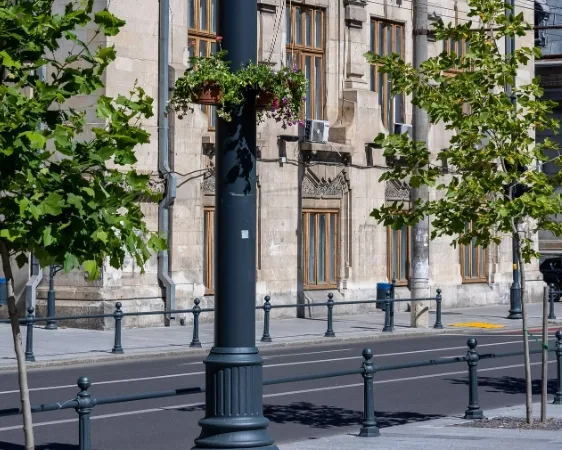 Weekend pietonal pe Strada Domnească: sport, spectacole și activități pentru toate vârstele