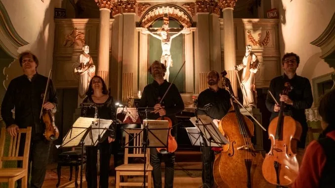 În căutarea muzicienilor români...