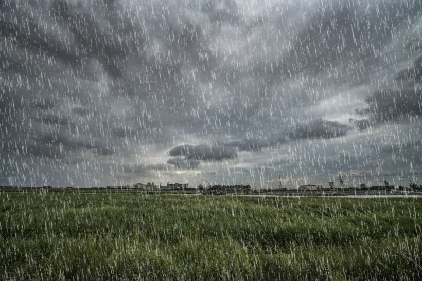 Circa 3.000 de hectare de terenuri agricole din județul Galați, afectate de ploile torențiale din primul semestru