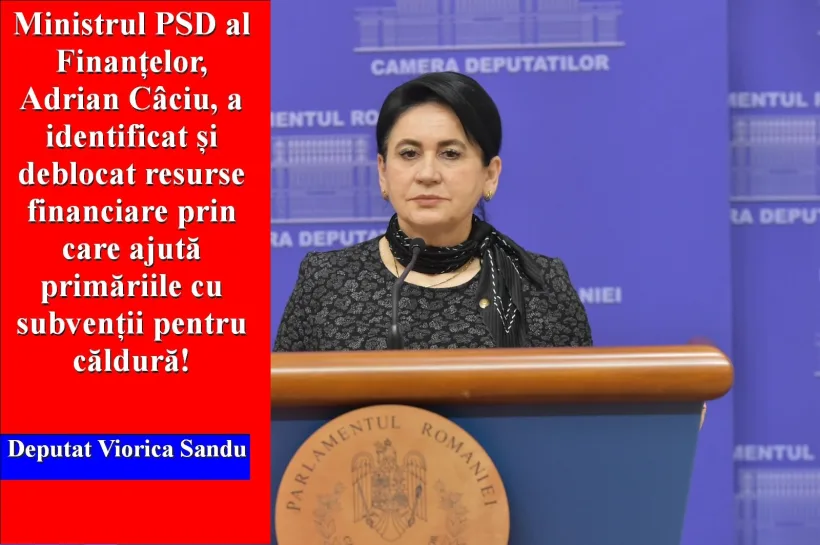 Deputatul PSD Viorica Sandu: Guvernul ajută primăriile cu subvenții pentru căldură