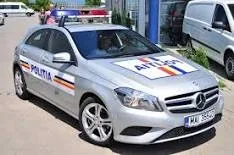 Câinii ar trebui să stea legaţi
