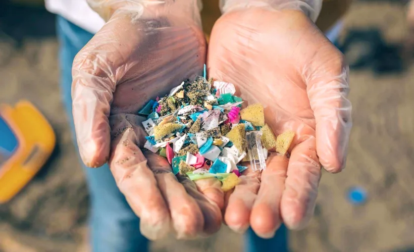 Săptămânal, oamenii îngerează echivalentul unui card bancar din plastic
