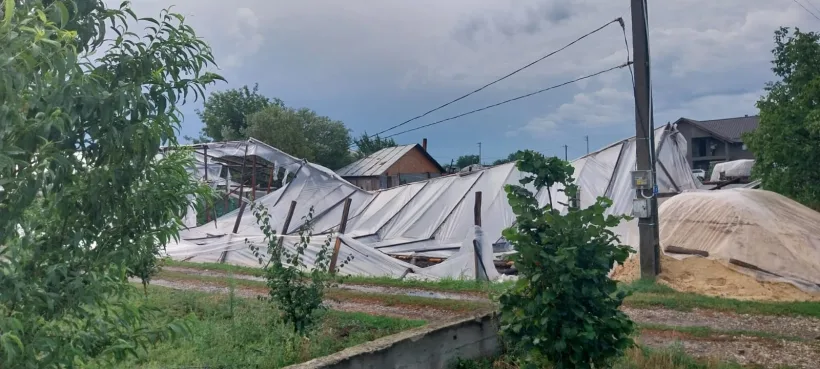 Zece hectare de solarii distruse la Matca. Tornada a măturat totul în calea ei