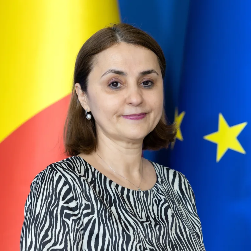 Luminiţa Odobescu şi Antony Blinken au găzduit o reuniune ministerială la sediul ONU