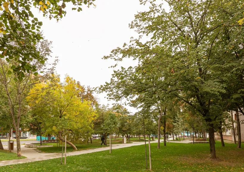 Încă o mie de arbori tineri vor fi plantați în orașul Galați