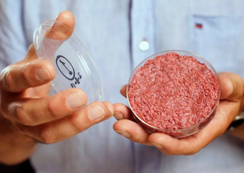 Proiect inițiat de parlamentarii PSD: Carnea sintetică, făcută în laborator, ar putea fi interzisă în România