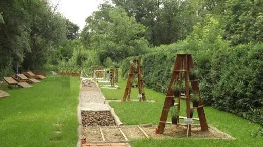 Spațiu educațional accesibil și multisenzorial în Grădina Botanică